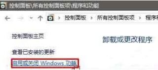 如何在Windows 10系統中打開Internet信息服務（IIS）